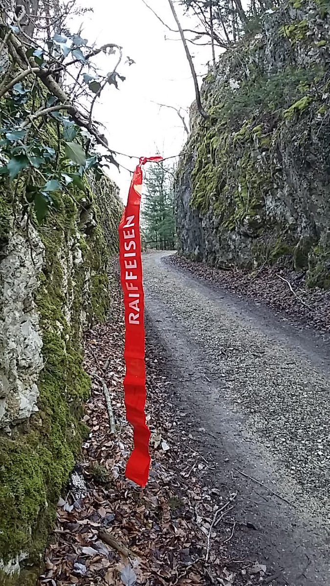 Mont_Terrible's tweet photo. Les parcours des Courses du Mont-Terrible seront balisés vendredi et samedi prochains ! Profitez du week-end pascal pour venir découvrir ou re-découvrir nos tracés après vous être inscrit sur https://t.co/G2FfqDXF5E
#CMT18 #Pietchiesson https://t.co/EpKNeZqzOp