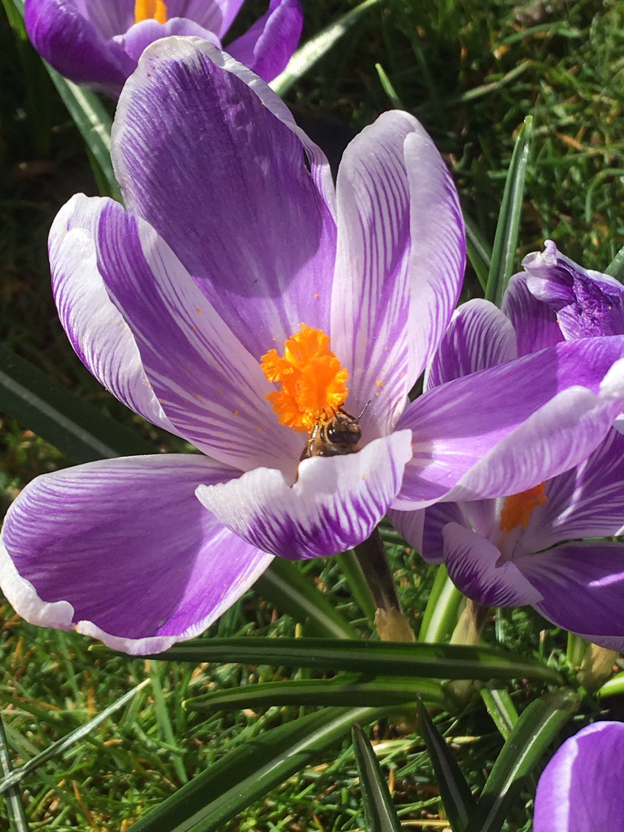 Angela Williams 🌈💙🥾⛅️🦉🕸🌳🏳️‍🌈🇺🇦 tweet media