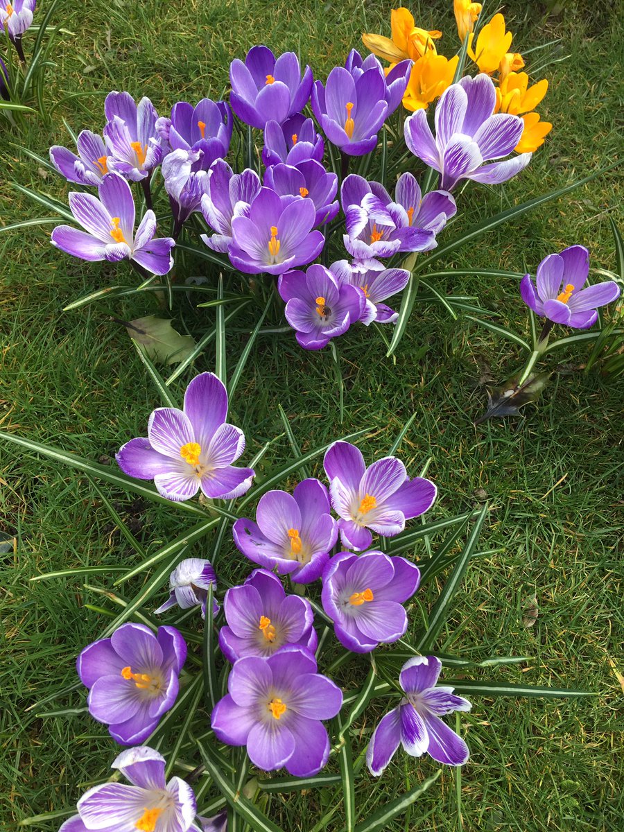 Angela Williams 🌈💙🥾⛅️🦉🕸🌳🏳️‍🌈🇺🇦 tweet media