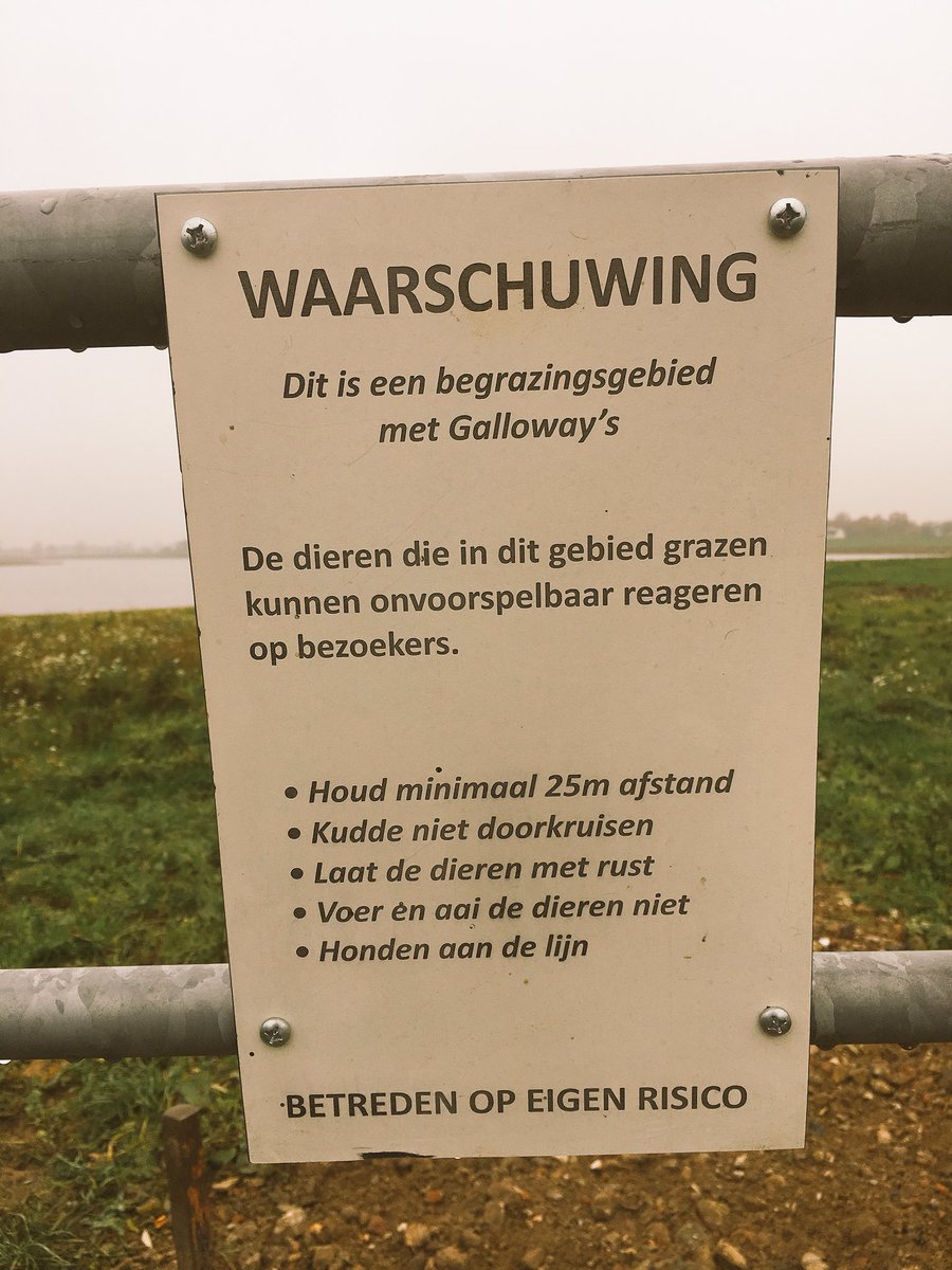 De lente is begonnen... #moleneindsewaard #alphenaandemaas #mooimaasdorp