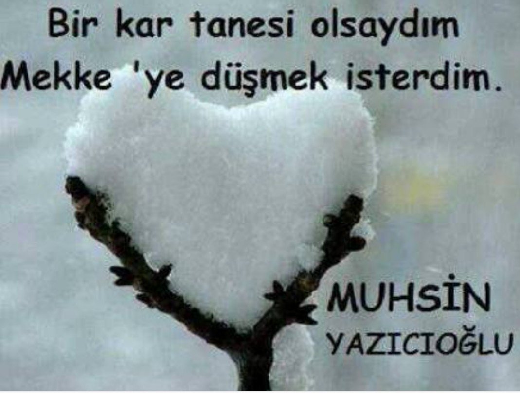 BİR KĂR TANESİ OLSAM MEKKE YE DŰȘMEK İSTERDİM BÜYÜK BAŞKAN MEKANIN CENNET OLSUN 🌿 BİZ ÖYLE BİR MİLLETİZKİ MUHSİN BAŞKAN NE SENİ UNUTURUZ NEDE KAHPECE SENİ ȘEHİT EDENLERİ @VESİLETURAN0202 @Jeju_rt @furkiyasin @SeyyidiNisa_ @nazlia_61 @Kudus_Davasi @Rabiacrh @1001esat1 @Nur1p 👇👇