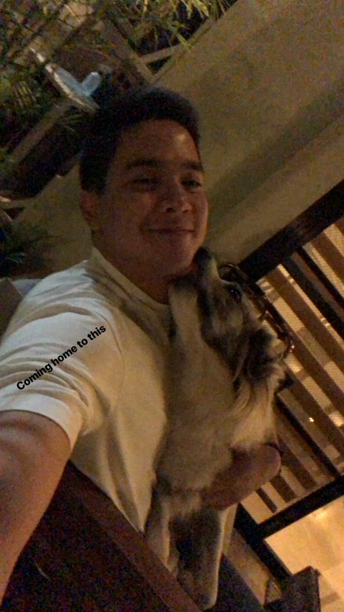 ALDENaticsQC_'s tweet photo. "coming home to this" 🐶 

© aldenrichards02 | IGS https://t.co/O2xmnyL0u6