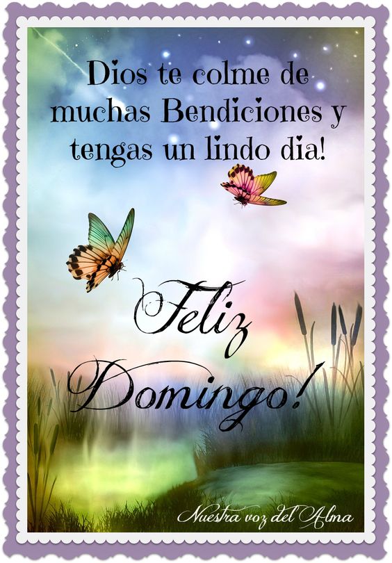 上的 Jose H. Melendez: 上的 Jose H. Melendez:
