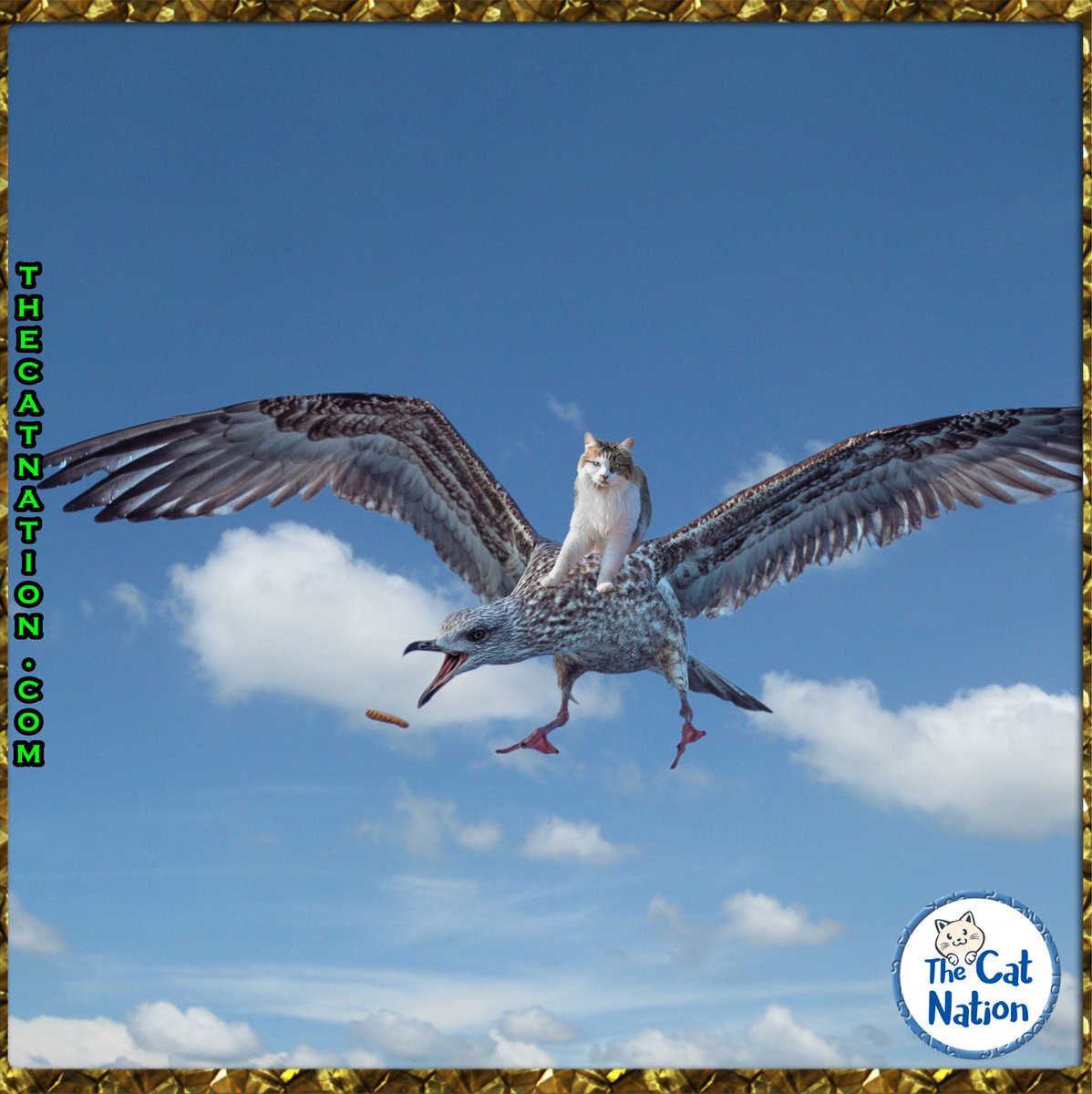 The_CatNation's tweet image. Cats are not afraid of heights.

#cat #kitten #kitty #cats #kittens #pet #cats #pets #catmemes #memes 

thecatnation.com