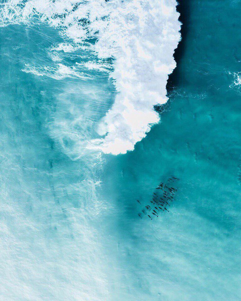 minimalism tweet media