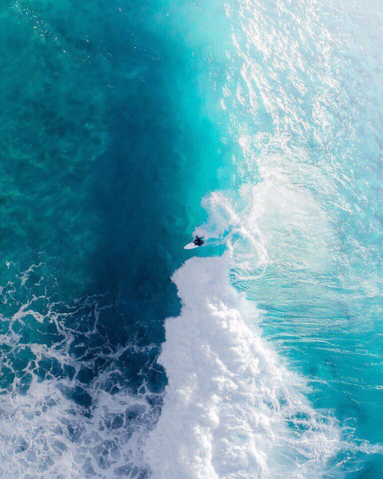 minimalism tweet media