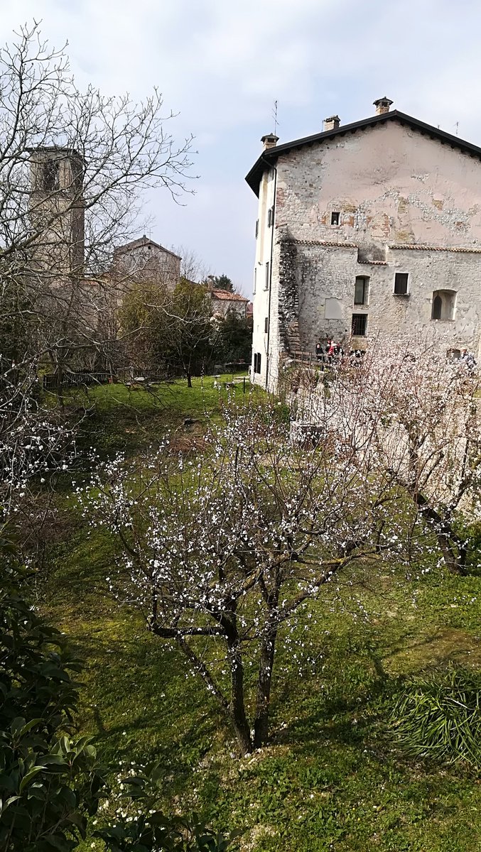 Relaislatorre's tweet photo. #Spilimbergo #FVGLive #FAI Castello di Spilimbergo #FAIPrimavera happy #Sunday https://t.co/lARCHJir30
