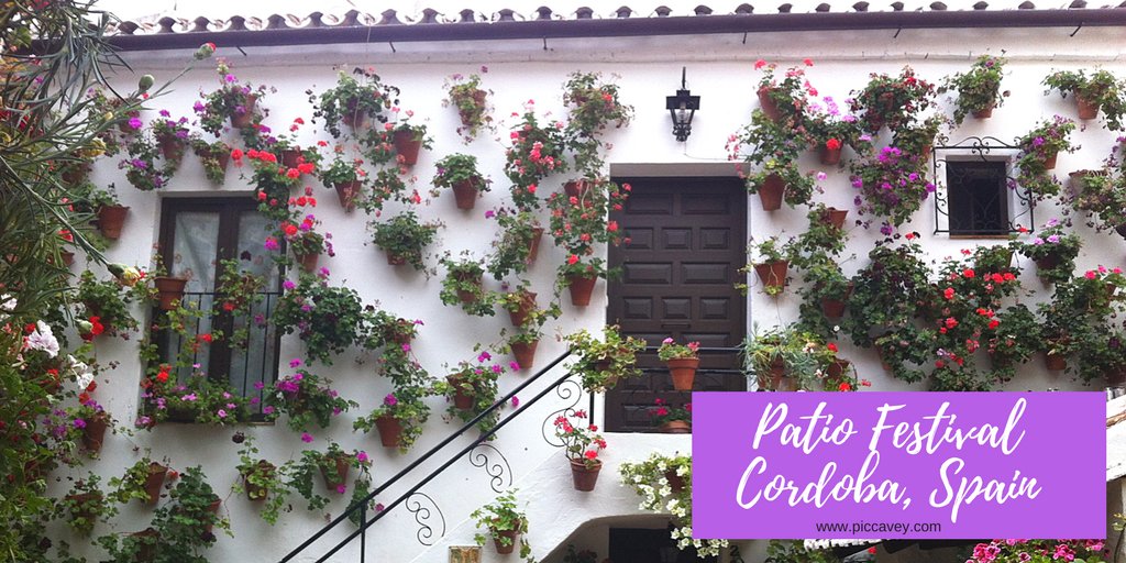 Molly 🇪🇸Spain Blog since 2011 tweet media