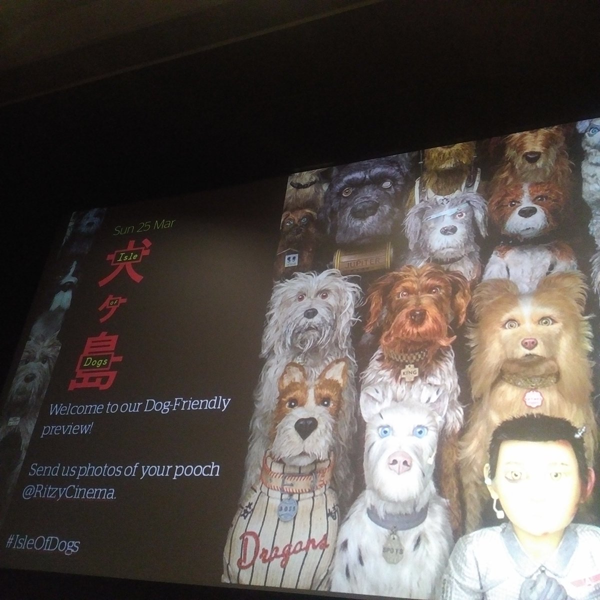 lickedspoon's tweet photo. Sunday screening @RitzyCinema, with dogs. I think @gracieldnfields looks like the one far left, second row. #isleofdogs #BYODog #tailsfrommodernlife https://t.co/qmPCDCoAmy