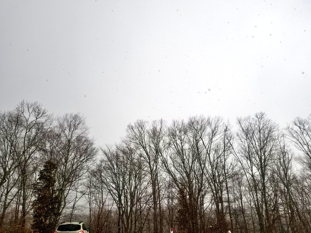 McBuckeyeAT's tweet image. Currently at Lake of Isles....sunny with heavy flurries. (Don scratches head in bewilderment). #SpringHasNotSprung