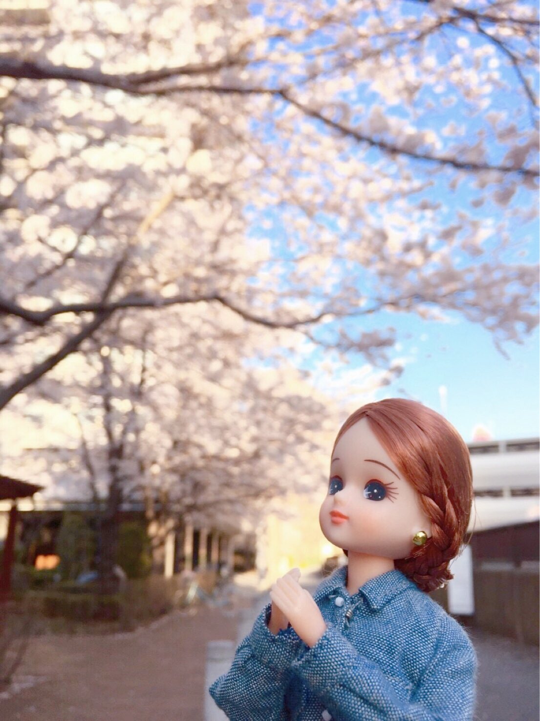うるるちゃん　一閑張りバッグ　　赤い実と桜花びら２つ stj × Iris Collect petit「うらら～Fluffy strawberry bunny