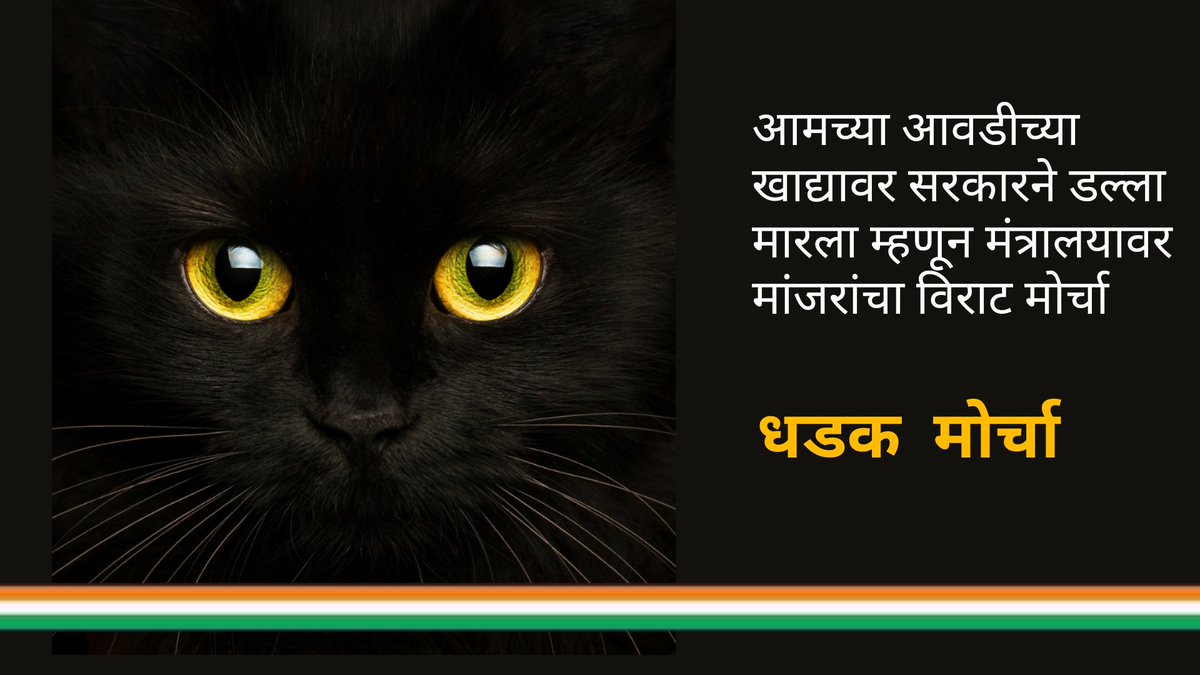 Awhadspeaks's tweet photo. जे. जे हॉस्पिटलमध्ये उंदीर मारण्यासाठी सहा बोके आहेत उंदीर मारण्याचे काम फुकटात करतात मात्र मंत्रालयमध्ये मिनटाला ४० उंदीर मारणारी माणसे लाखो रुपयांचा मलिदा खातात. काय हवे तुम्हाला उंदीर मारायला बोका की माणसे ? https://t.co/wUoA9Ya6C2