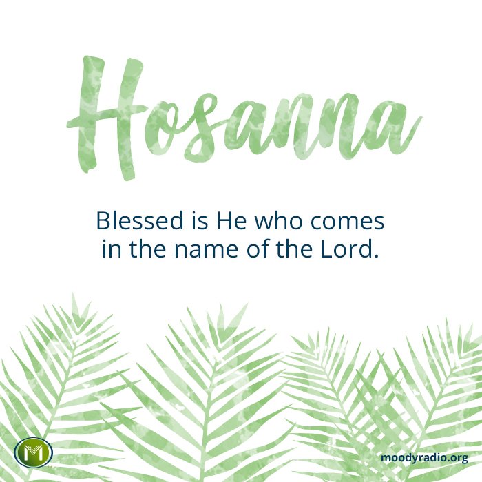 Today, join us in praise for the King of kings and Lord of lords. Happy #PalmSunday!