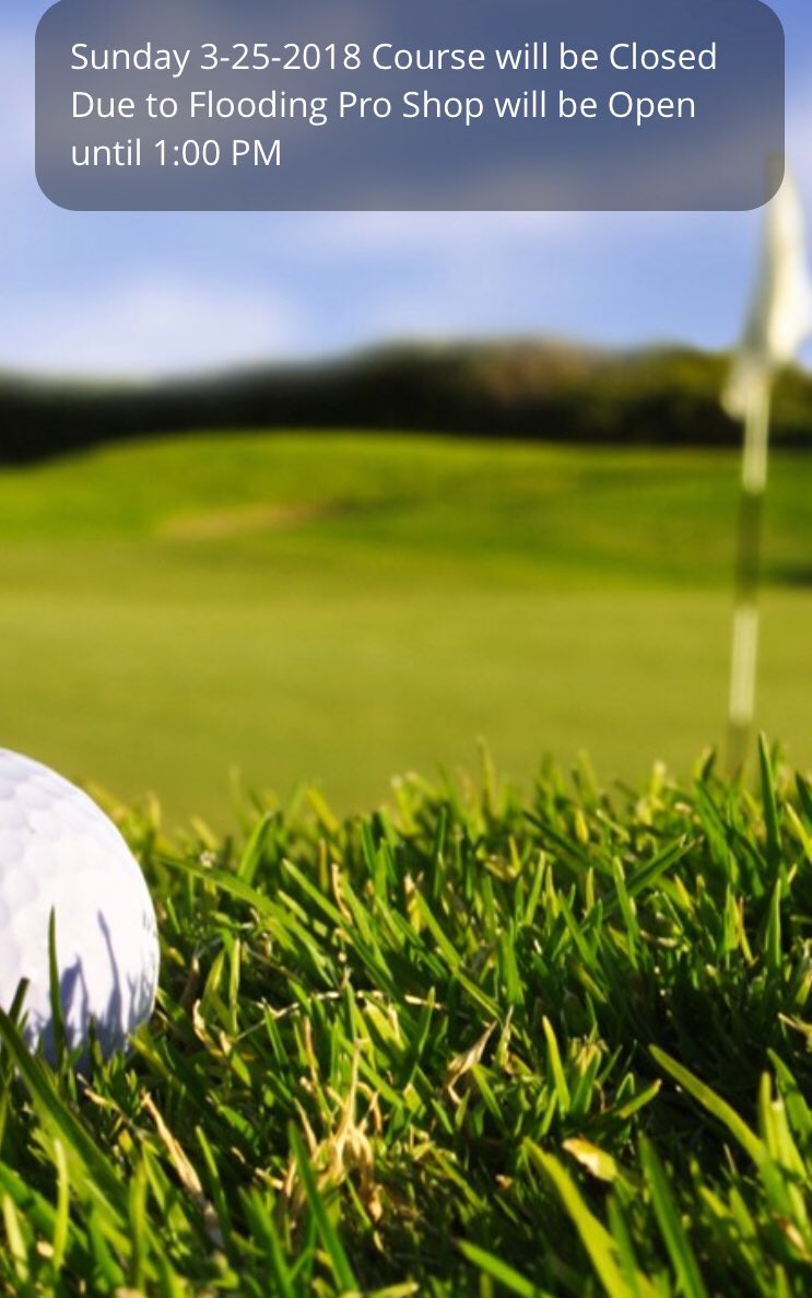 Cattails_Golf (@cattails_golf) on Twitter photo 