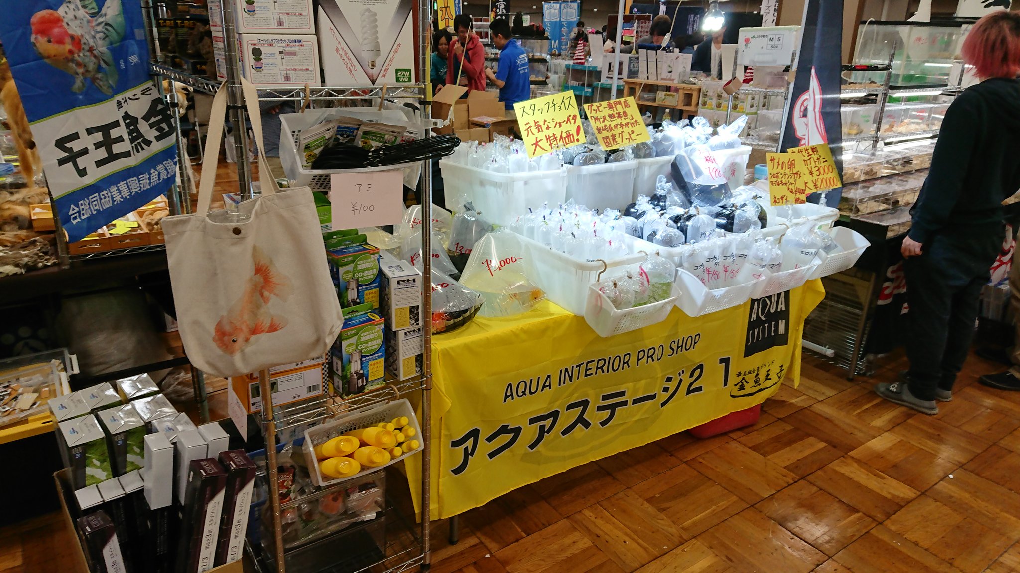 アクアステージ21さいたま店 今日はアクアリウムバスにご来店頂きましたお客様有り難うございました 当店を初めて知ったお客様や良く分からなかったお客様も当店をご利用頂き有り難う御座いました 次回のイベントも出店する予定ですのでご期待ください