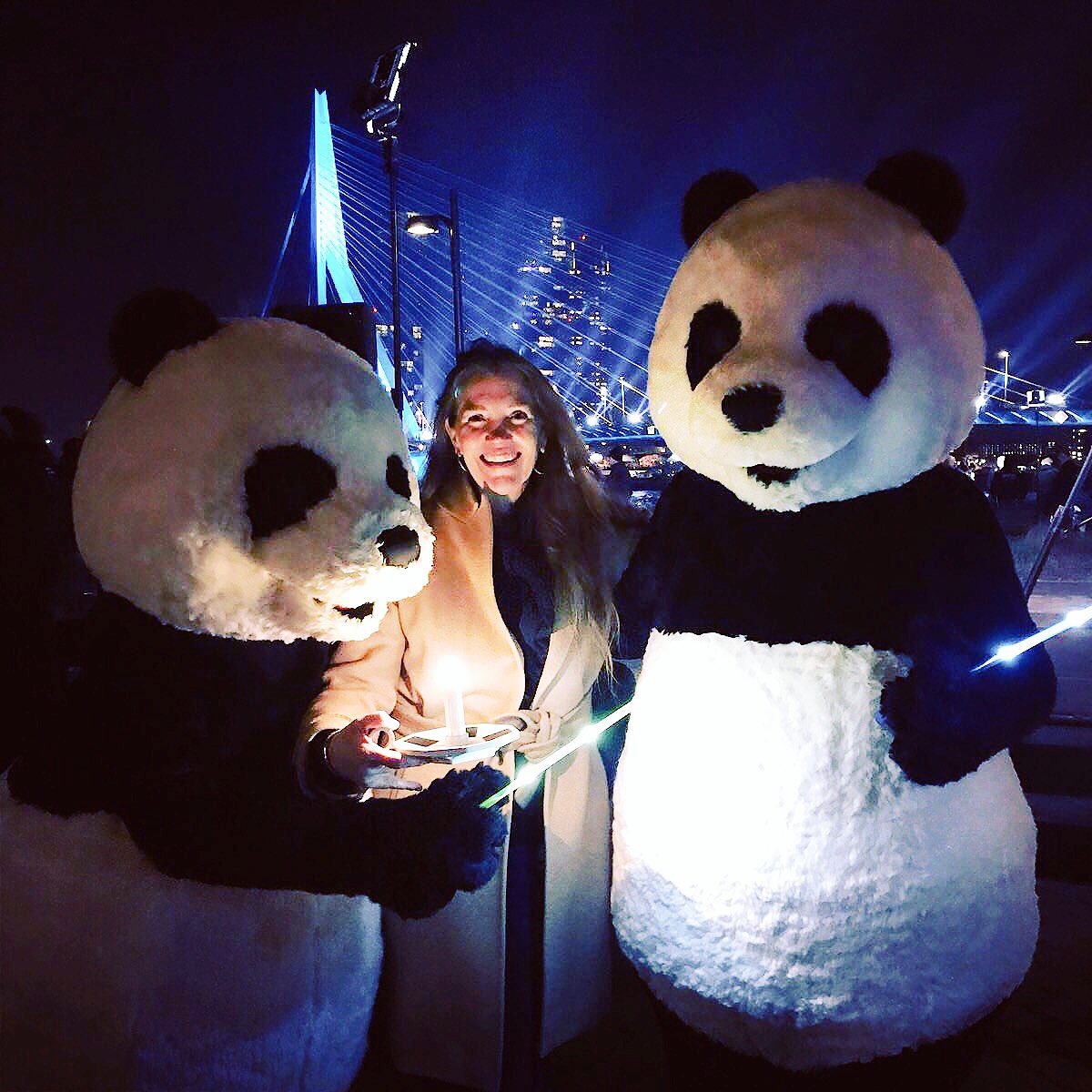 #Earthour2018 #earthhour #wnf #wwf to #protect #Earth with #design #solar #light by #annetvanegmondstudio  for <a href="/miss_solarlight/">Miss Solar Light</a>