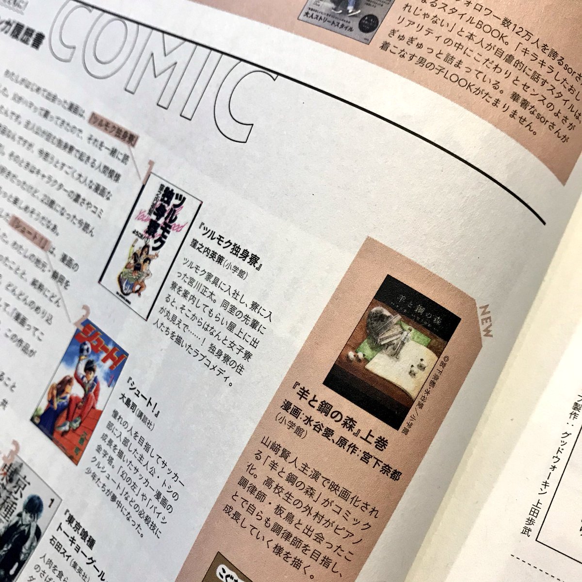 水谷愛 Spring 5月号の新刊情報に 羊と鋼の森 上巻 原作 宮下奈都さん 作画 水谷愛 を紹介していただきました 若い頃夢中で読んでいた雑誌に載っているとは 感激です ありがとうございます Spring 羊 と鋼の森 宮下奈都 Cheese T