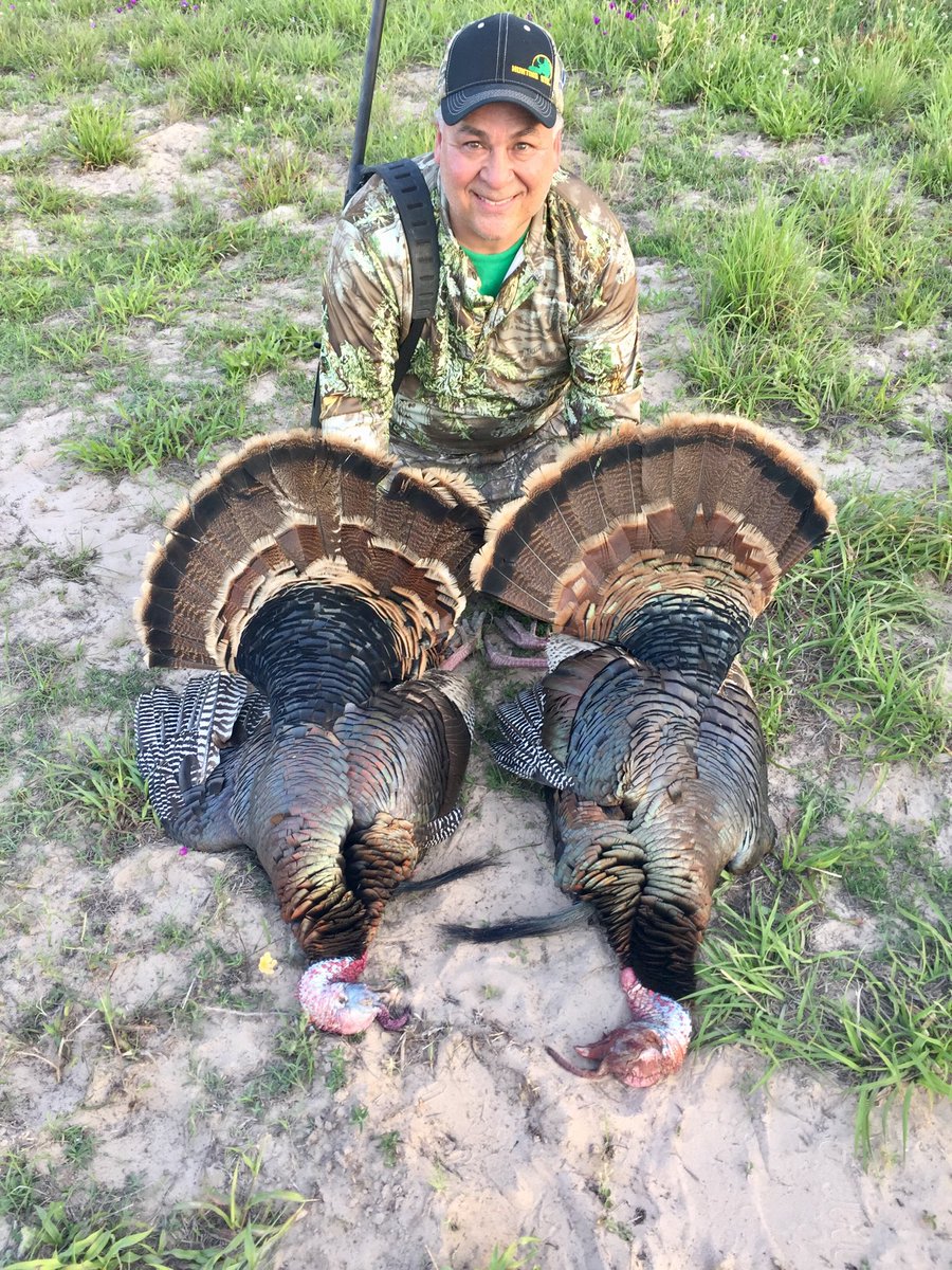 ArceTony's tweet photo. Double Rios down in Texas.  #brookscounty #benelli #spectrashot #whitelightning #turkeyhunting https://t.co/ZJ1b5RFfnk