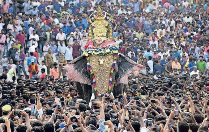 born2_wild's tweet photo. In Captivity #TempleElephant ‘s LIfe&amp;Health are in the 🙌🏼’s of its Mahout 🐘Death’s for 2018-11 past 26mnths-60🐘 when will action happen and Mahouts be caught RED 👋🏼’ed Please Help them #Kerala #India .@PMOIndia .@CMOKerala https://t.co/hVhu1x9fNS