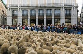 dfmfalcon's tweet photo. Última hora: manifestación multitudinaria en Cataluña por la detención de Puigdemont. https://t.co/RcMJXys5jK