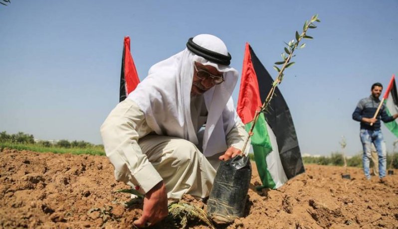 وسنرجع إليك يوما يا وطني *** وسنغرس فيك أمانينا ..

#NAKBA70 
#نكبة70 

#مسيرة_العودة_الكبرى 
#نبض_____فلسطينية ✌⁦🇵🇸⁩