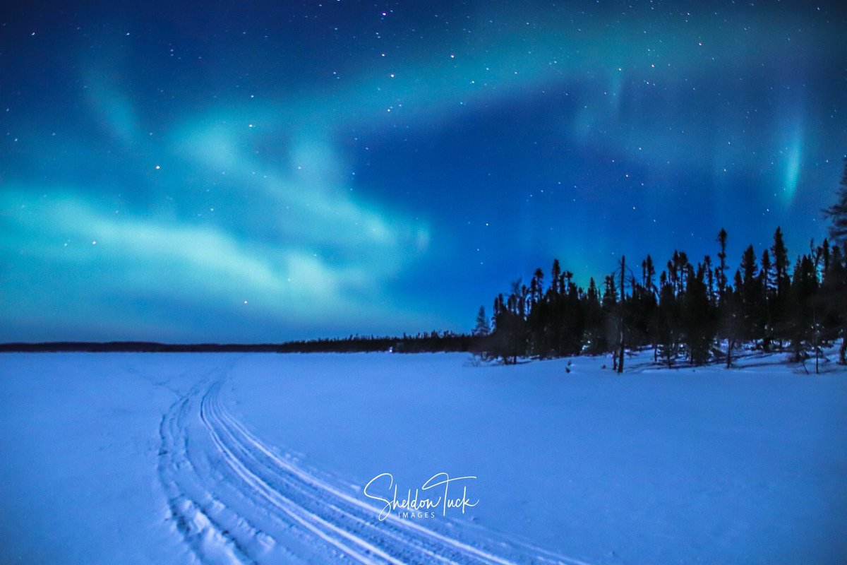 denise burton (delilah_76) Twitter