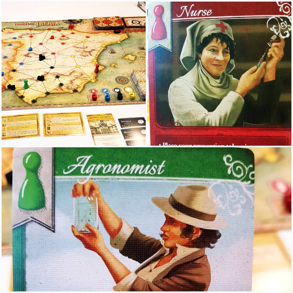 midoriwashi's tweet image. What a beautiful #boardgame #pandemiciberia 😍 and how unforgivable😱 Had my #nurse &amp;amp; #agronomist ready to research &amp;amp; heal as much as possible🤓 Loved playing them, but got careless. What broke my neck was the #drawpile - empty.😞 I am looking forward to playing the next round😎
