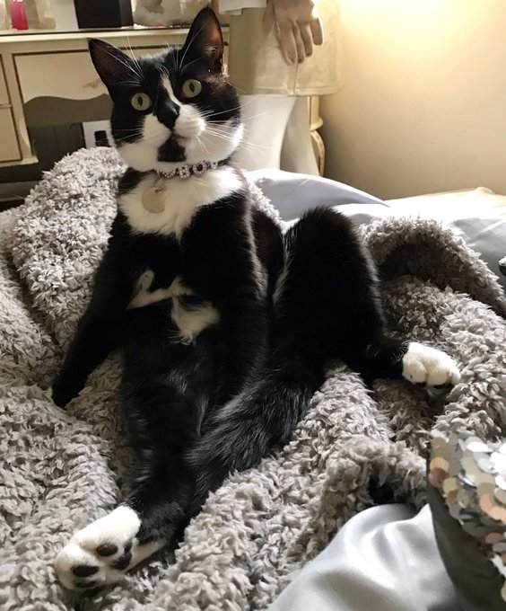 Watch 𝐊𝐞𝐥𝐥𝐲𝐛𝐬𝐰𝐨𝐫𝐥𝐝😻's leaked NSFW photo on TwXstars