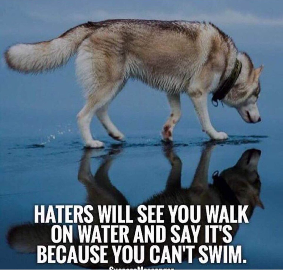 CoachDLip's tweet photo. Soul Food Sunday: You have got to let your light SHINE!
#troubledontlastalways #constantelevation #reallifebasketball #Winner4life https://t.co/VwxByPxeG6