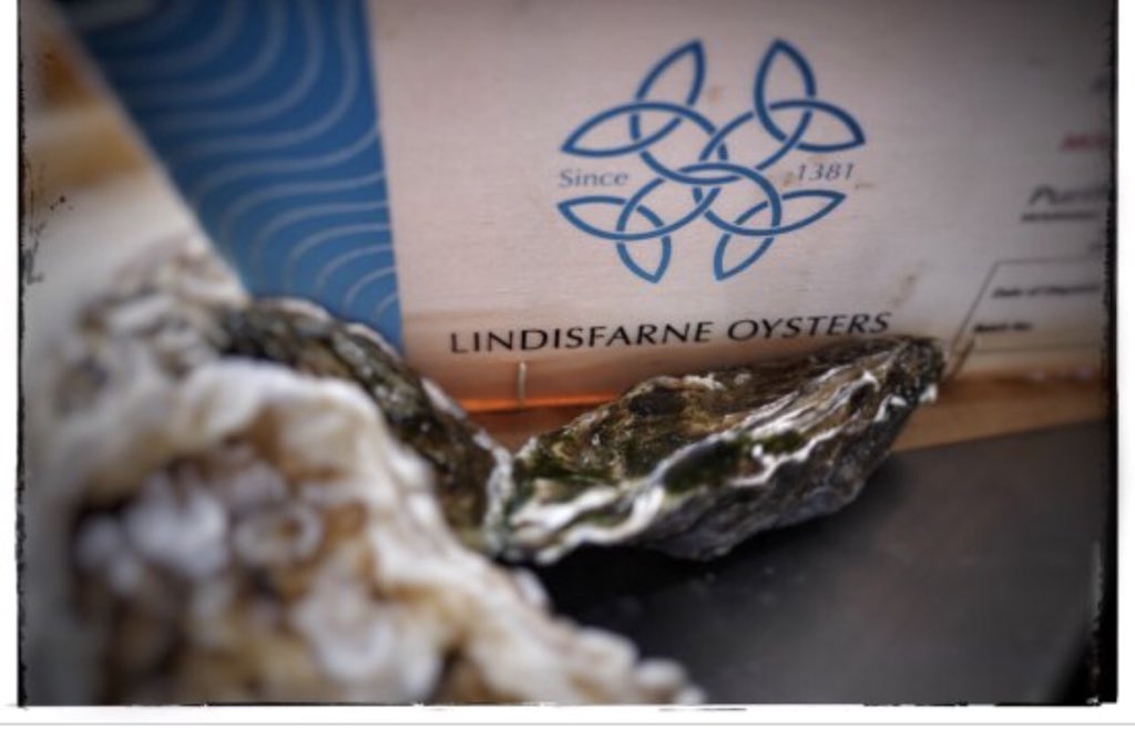 Sailbrand's tweet photo. Arriving fresh on Monday Lindisfarne Oysters , 500g pots of Handpicked White Crab and 500g of Fresh Brown Crab meat . And more Fresh Whitby Dressed crabs 01484548975
@Anthony040108 @LeeWRoberts https://t.co/DlSRmEElgc