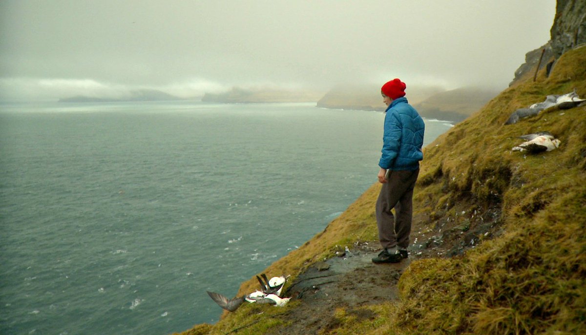 CentralPictureH's tweet image. "Understated, albeit enchanting... alerts us to the manner in which man is destroying the areas of natural paradise" #TheTotality
#TheIslandsAndTheWhales plus Q&amp;amp;A hosted by #JonSnow
Thu 29 Mar, 7.00.