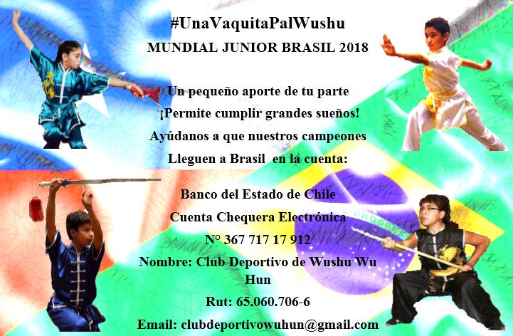 IRicouz's tweet photo. @LetsFand somos 4 niños campeones sudamericanos en competencias oficiales, clasificados a Mundial de Wushu Junior. No tenemos apoyo de nadie!! Estamos haciendo #UnaVaquitaPalWushu solicitando ayuda. RT? https://t.co/L2zt4239aX
