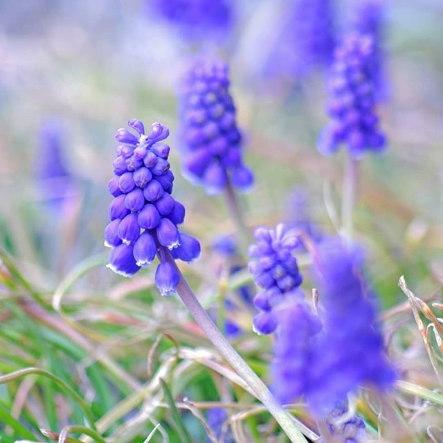 aisufield's tweet photo. https://t.co/uPaIGAVBVl https://t.co/9wC5EvOXb8