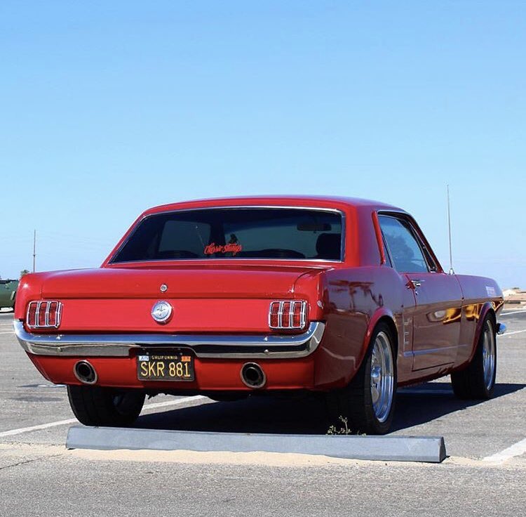 Adam Raby (@Adam_Rabies) | Twitter