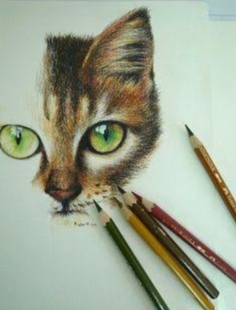 Desenhos de Gatos (@Rebeca33791139) / X