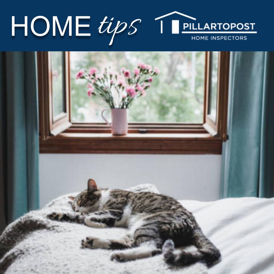 PillarToPostOvi's tweet photo. Open a window! It’s time to air out your house and improve indoor air quality #pillartopost #HomeInspection #hometips #homesafety #Orangeville, #Bolton, #DufferinCounty #Caledon, #Shelburne #Mono https://t.co/Uz4FwlhjOg https://t.co/wtbPc6ZW1B