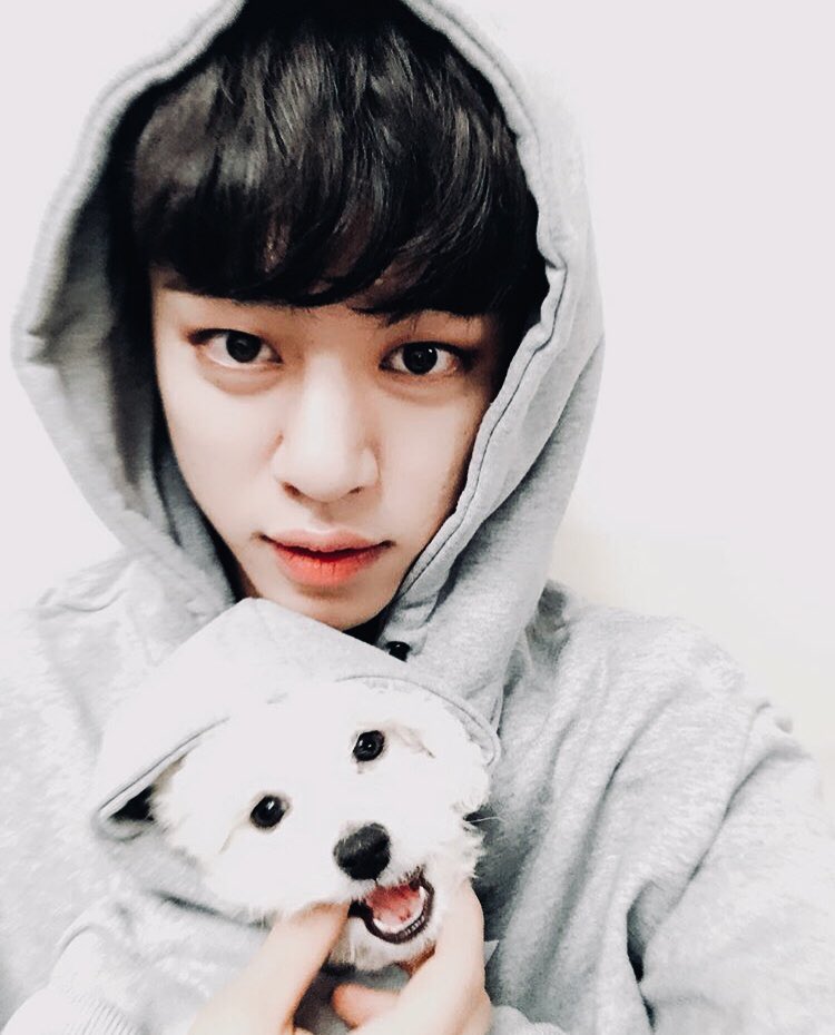 ofmarktuan's tweet photo. grey sweatshirts are our thing

[ @BAP_Daehyun ; #babyselcaday ] https://t.co/rXMoBXPcWe