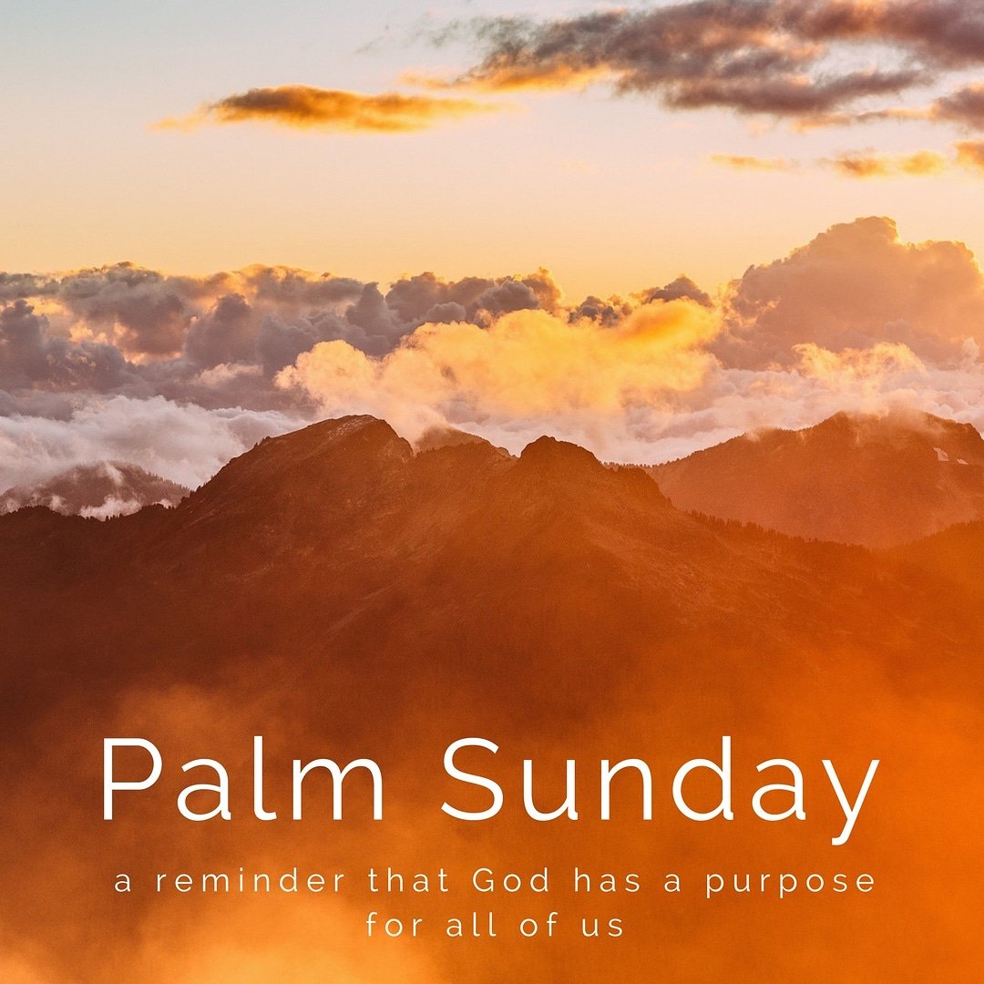 SBesthetics's tweet photo. From Palm Sunday, to the crucifixion to resurrection Sunday. Believe that things change and they change for the better. Happy Palm Sunday! #EstheticallyBlessed #palm #Sunday #sundayfunday #sundayvibes #sundayfun #palmsunday🌿 #palmsunday #Christian #christianlifestyle https://t.co/37bZbVfHD7