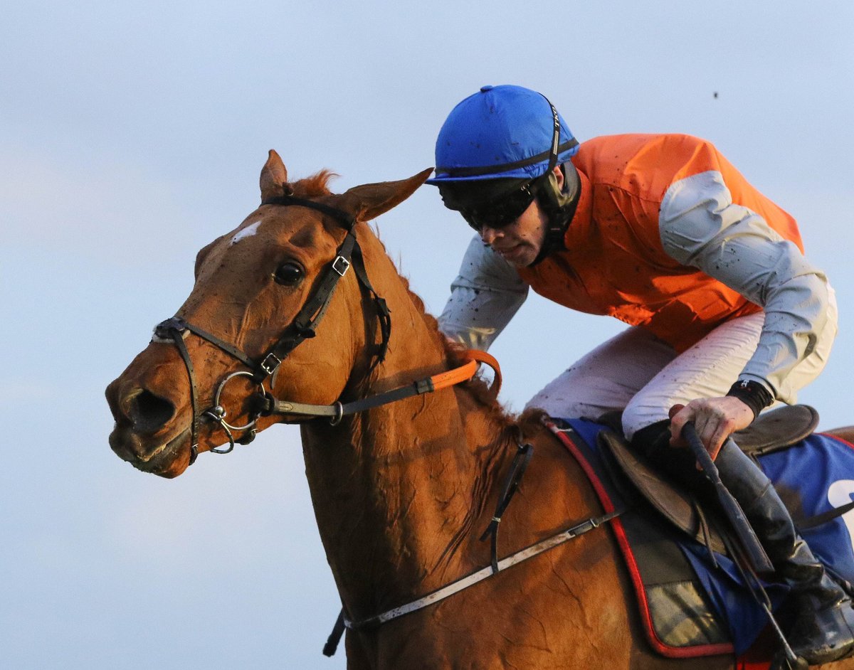 TMBloodstock's tweet photo. Poormans Hill lands his 7th race in 11 starts since we bought him taking the Ulster National for @gelliott_racing Well done to Vincent &amp; Kathleen Cauldwell. And a new best 194 season winners in Ireland for Team Cullentra https://t.co/0nJKfNQbX1