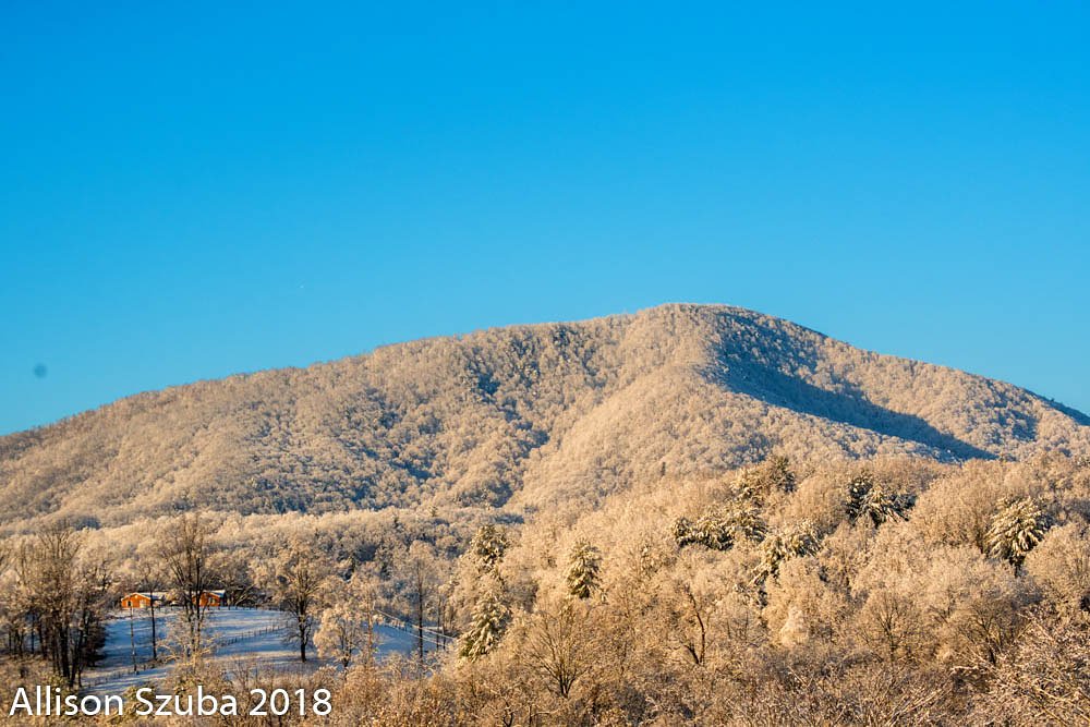 agentrypics's tweet photo. @NWSBlacksburg this has been a beautiful snow! https://t.co/wzphv97iYH
