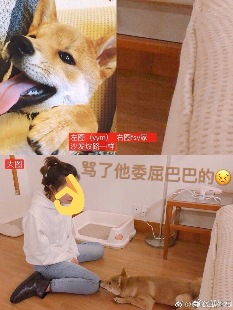 Nodapyym's tweet photo. ❤️ 밍왕 착생 양예밍 예밍 최신 근황 🦐

1. 한국 포함 팬들이 정성껏 쓴 팬레터들 읽지도 않고 버림 (with 고양이똥)

2. 여자와 ❤️홈쉐어❤️ 
ㄴ 소속사 화이가 여친 아니랬음 동거 아니고 홈쉐어랬음 암튼 그렇댔음

뭐요? 아직도 밍왕? 대체 언제적 밍왕~~~~
#杨业明 #yangyeming #leolucas https://t.co/w2Wpf9V4yf