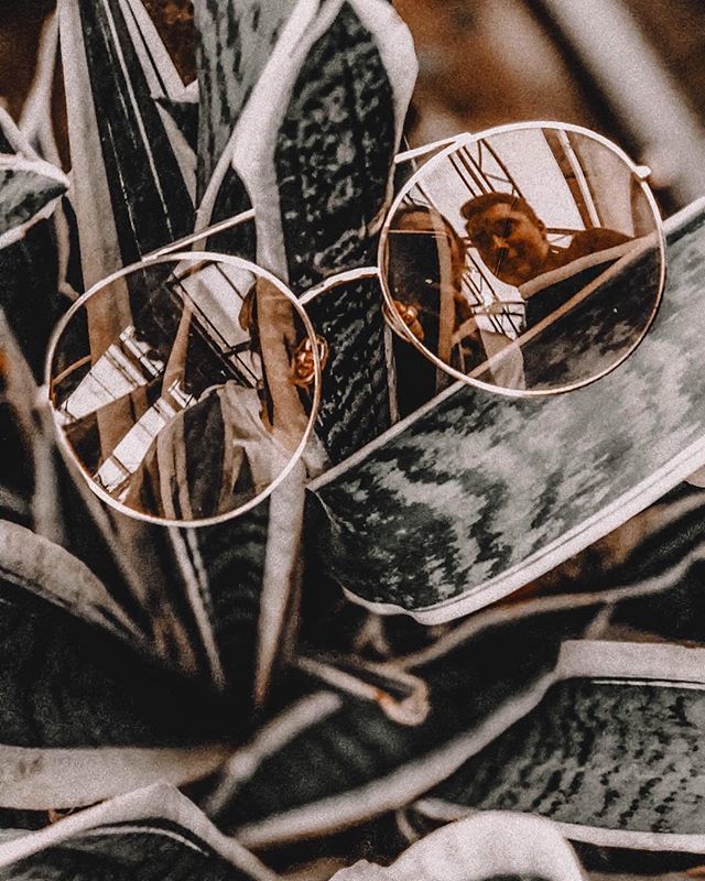 TIJN Eyewear tweet media