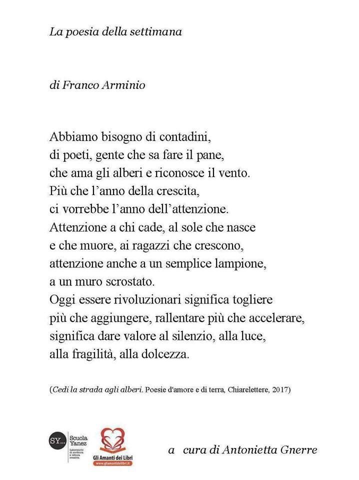 amantilibri's tweet photo. La #rivoluzione più potente e sempre la #poesia: «Oggi essere rivoluzionari significa togliere / più che aggiungere, rallentare più che accelerare, / significa dare valore al silenzio, alla luce, / alla fragilità, alla dolcezza». È di @francoarminio #lapoesiadellasettimana. https://t.co/oDB12Vg2zU