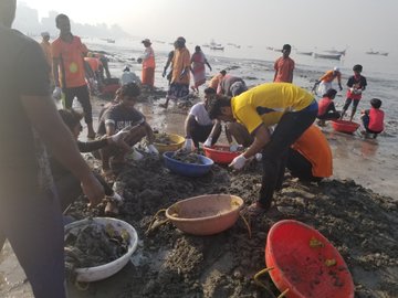 View image on Twitter