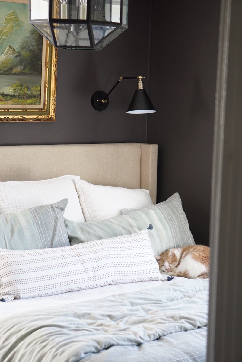 Peach And Pine On Twitter Jack The Cat Obviously Approves Of The