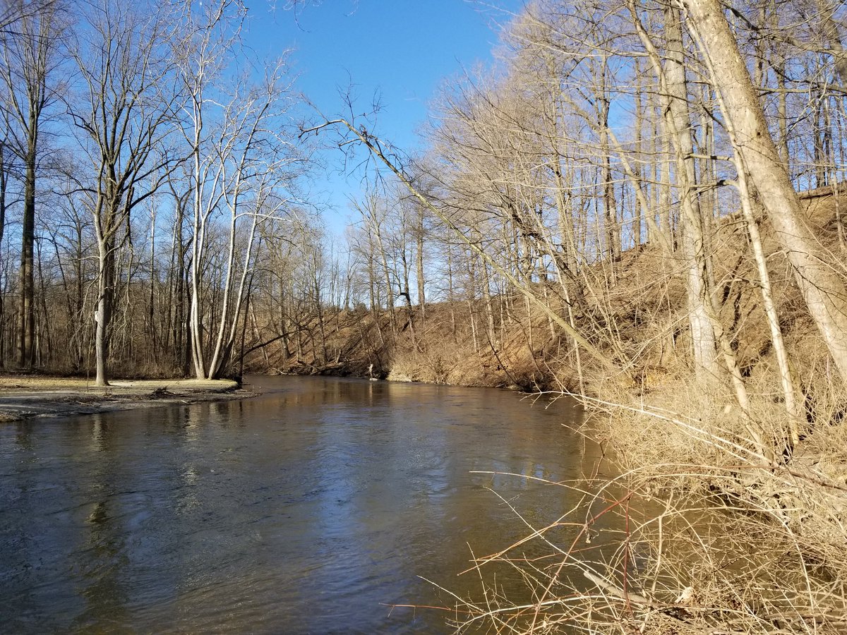 Matthew Lovell tweet media