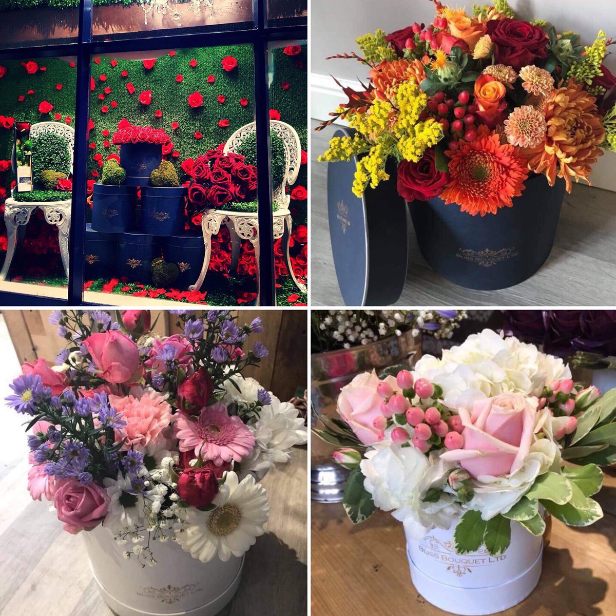 <a href="/TheoPaphitis/">Theo Paphitis</a> Bliss Bouquet is a boutique florist nestled in the heart of Essex offering exquisite luxury floral arrangements #SBS #smallbiz