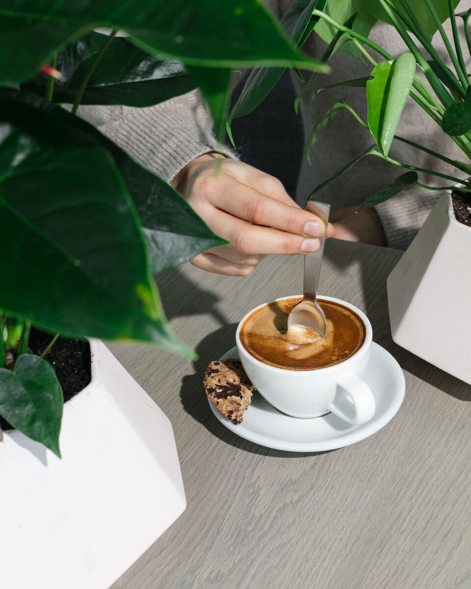 Virtuous_Pie's tweet photo. SUNDAY MOOD...come in for a coffee, stay for BRUNCH. On until 2:30pm. #eatvirtuous #thatplantlife #virtuouspie #brunch #coffee https://t.co/YyddSnEAuH