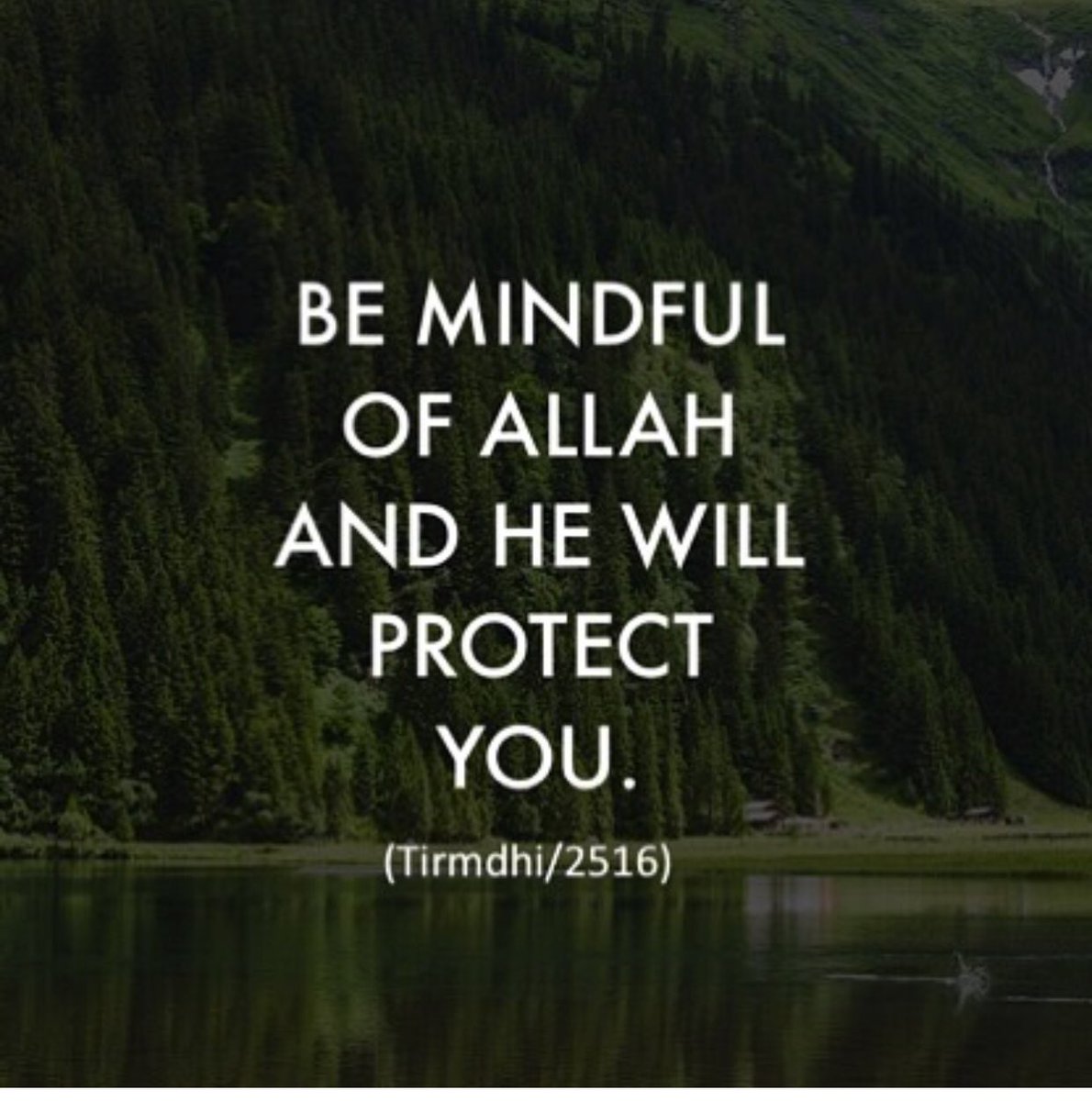 OurAimJannah's tweet photo. #rememberAllah #beconsciousofAllah #Allah #hadith #rasoolAllah (saw) #prophet #prophetmuhammad (pbuh) #sunnah #quran #deen #ramadan #iman #reminder #jannah https://t.co/I0PRdpWdU0