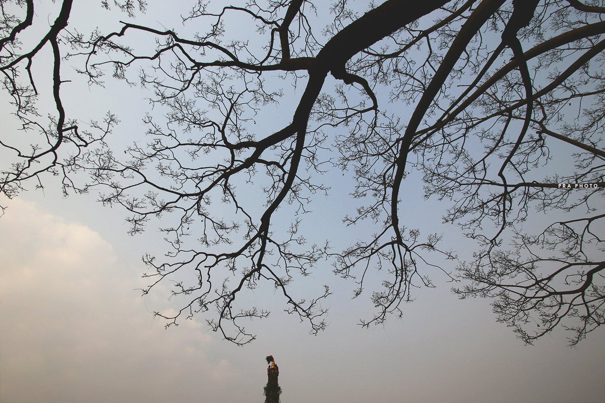 i_m_pra's tweet photo. Under the branches
#chairot #underthebranches #setomachindranathjatra #chairot #procession #dedicated #godofrain #durbarmargh #kathmandunepal #festivalsofnepal #festival #photooftheday #praphoto https://t.co/3EVZOwqVR0